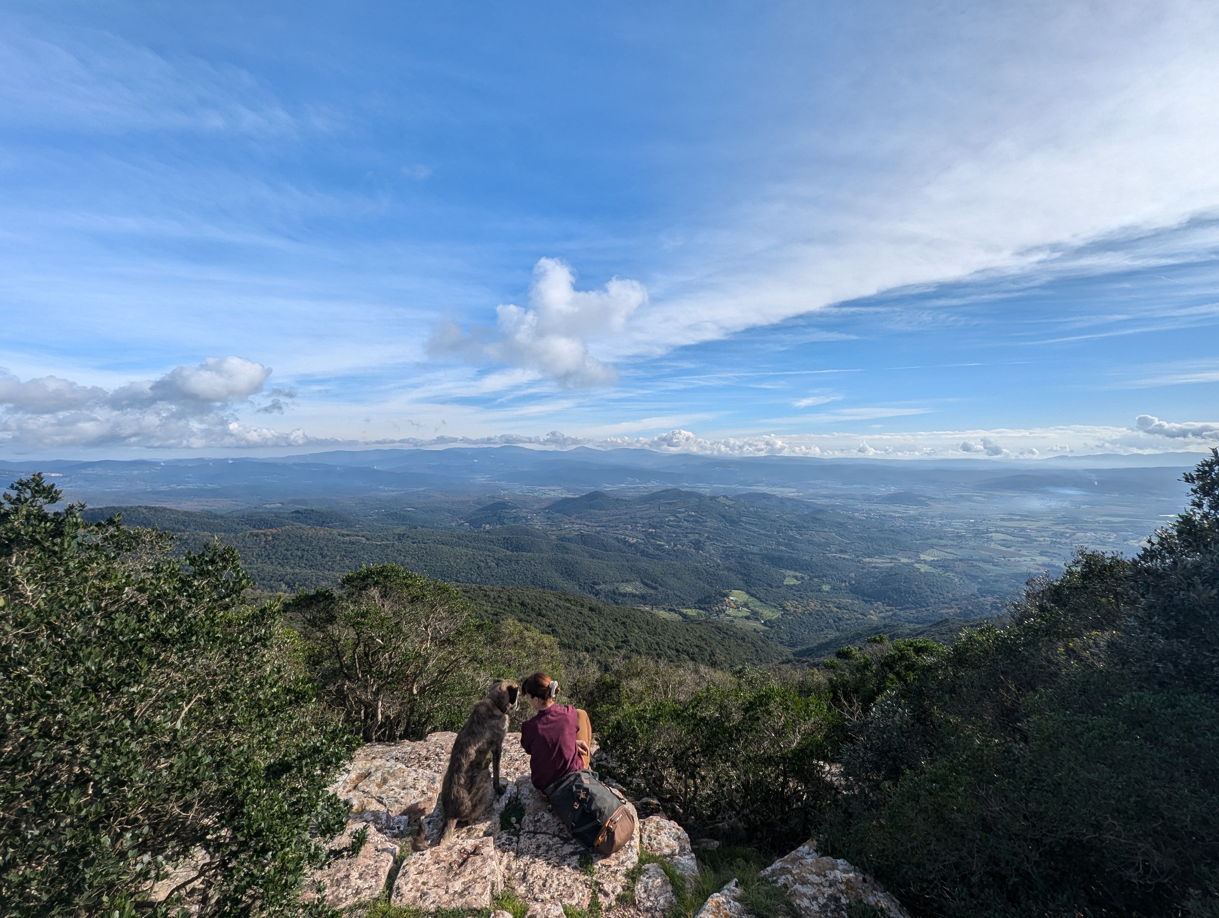 photo of Hiking paths